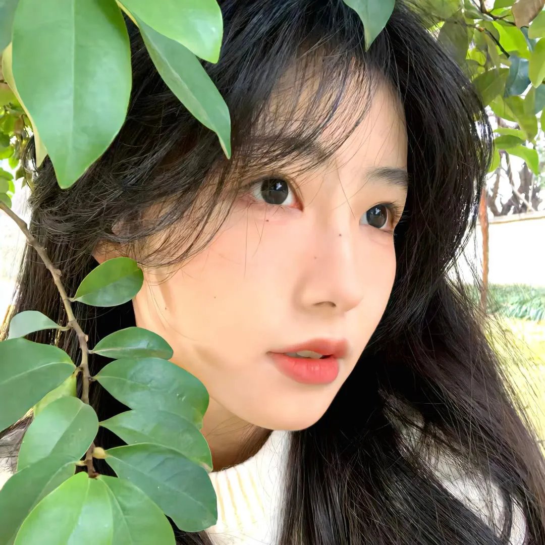 乱世美人